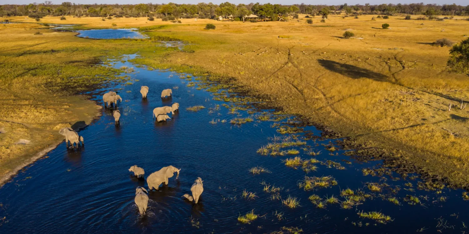 Luxury-Safari-Botswana-Okavango-Delta-Elephants-Aerial-View