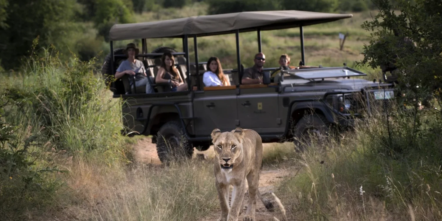 Guests enjoying a wildlife encounter near private safari villas during a guided Big Five game drive