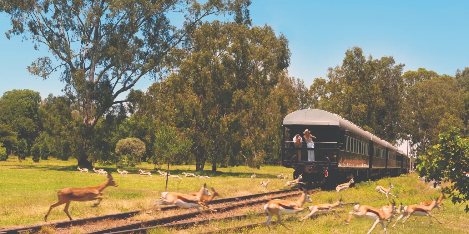 Luxury Safari by Land – Rovos Rail Train Journey through African Wilderness
