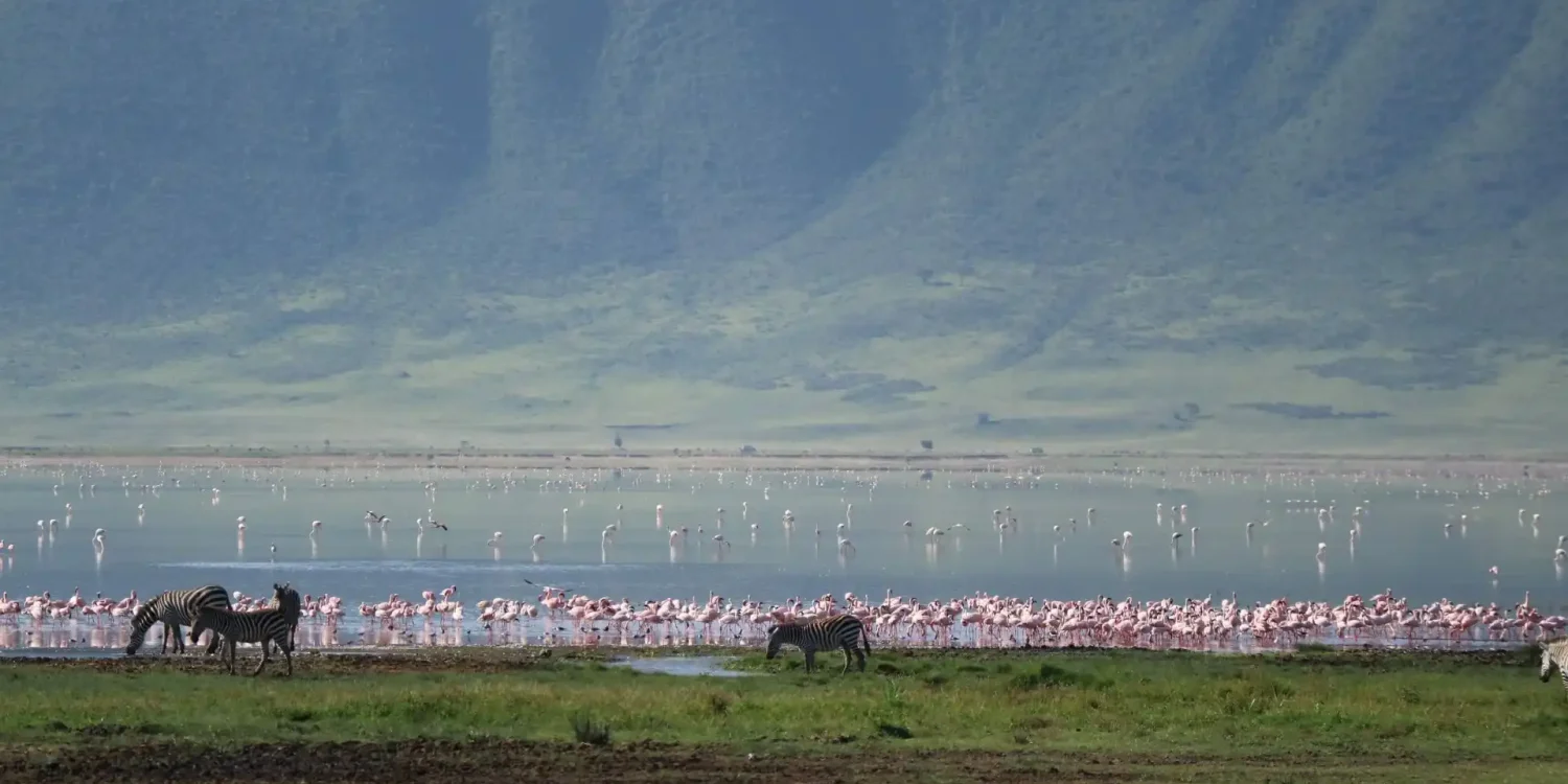Breathtaking safari views of zebra and flamingoes on a luxury family safari in Tanzania