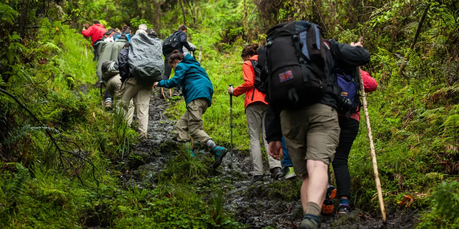 Rwanda Gorilla trekking
