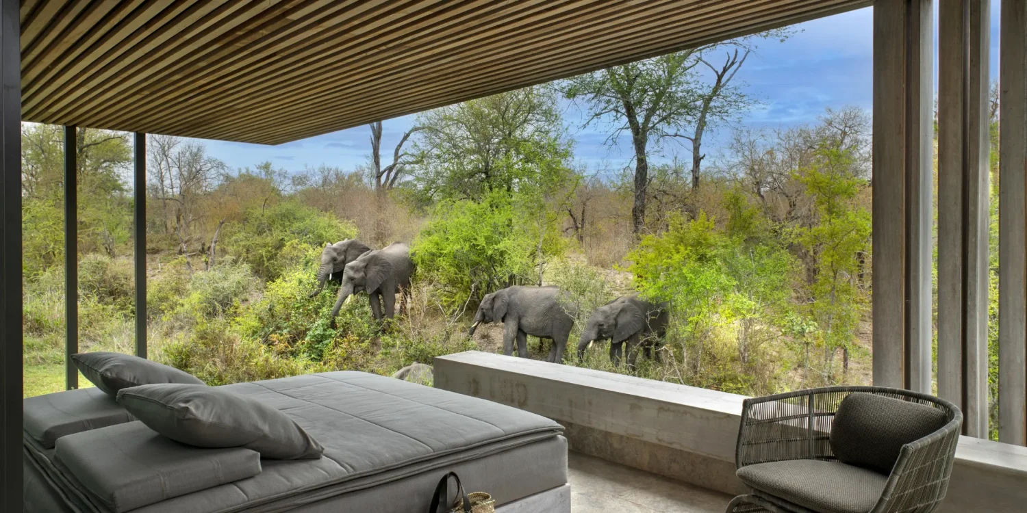 Sabi Sand Game Reserve _ Photo Credit_ Cheetah Plains