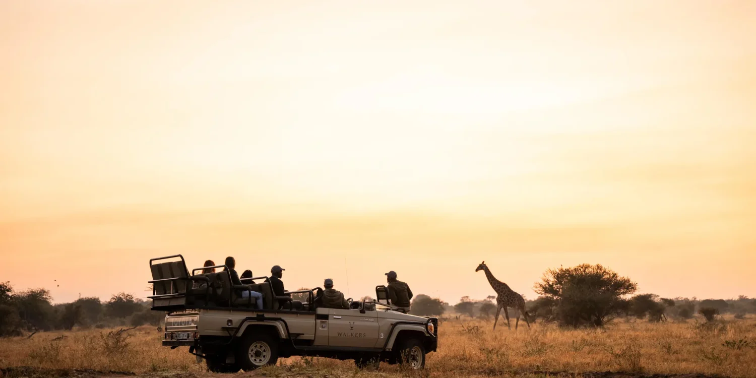 Safe-LGBTQ-African-Safari-Adventure-South-Africa