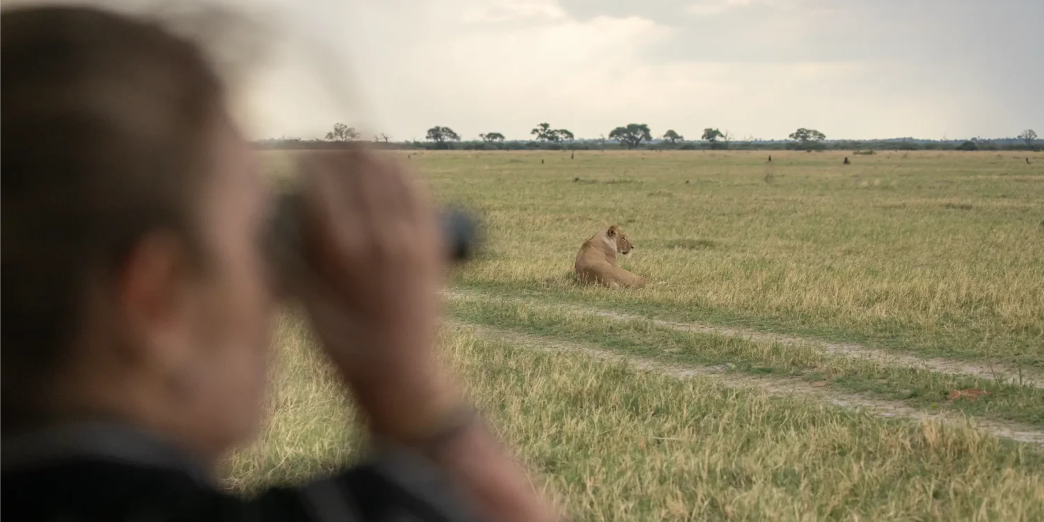 Solo safari traveler photographing a lion in Africa