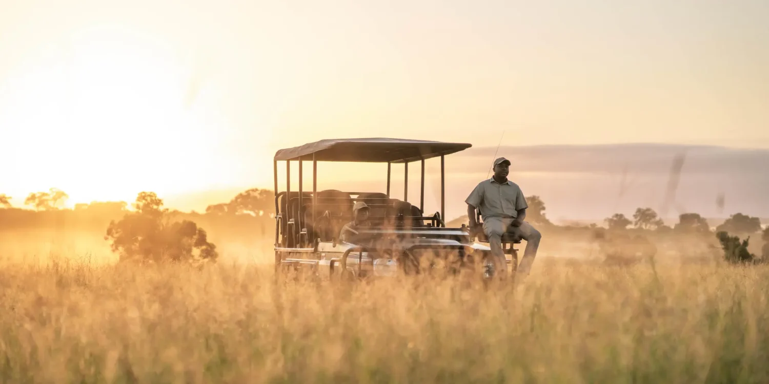 Sunset game drive