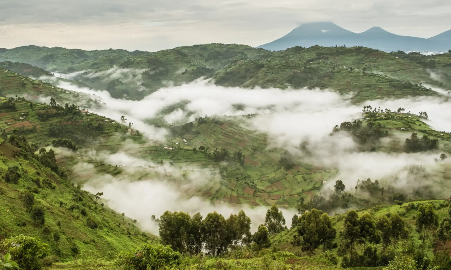Uganda Hills and Mountains