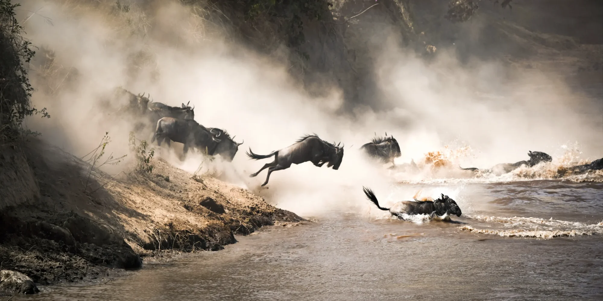 great-migration-wildebeests-serengeti-tanzania-spring-holiday-safari