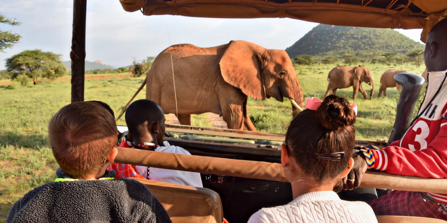 luxury-safari-teen-friendly-elephants-jeep