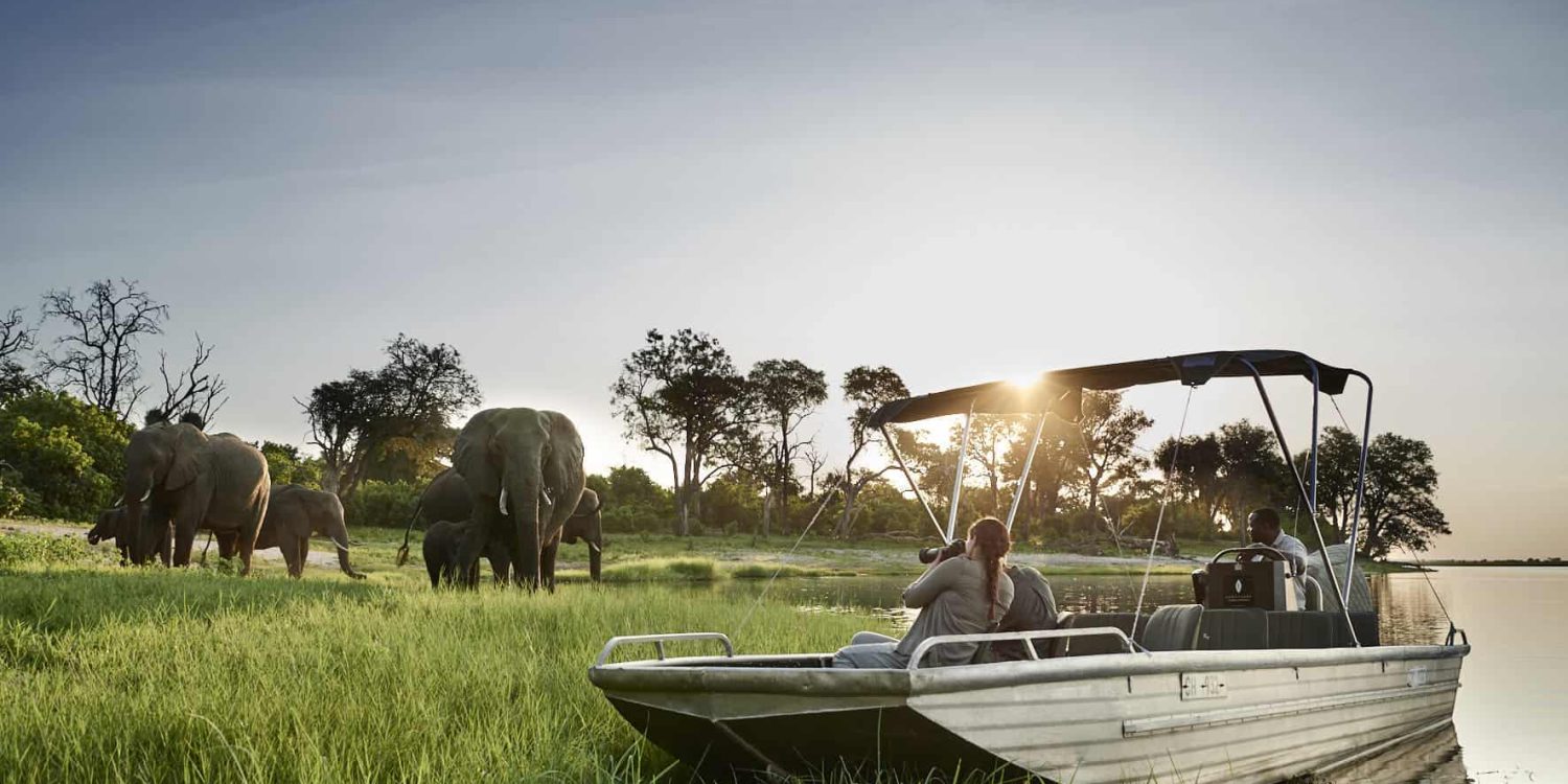 Boat safari near Sanctuary’s Chobe Chilwero Lodge with guests viewing elephants along the Chobe River.