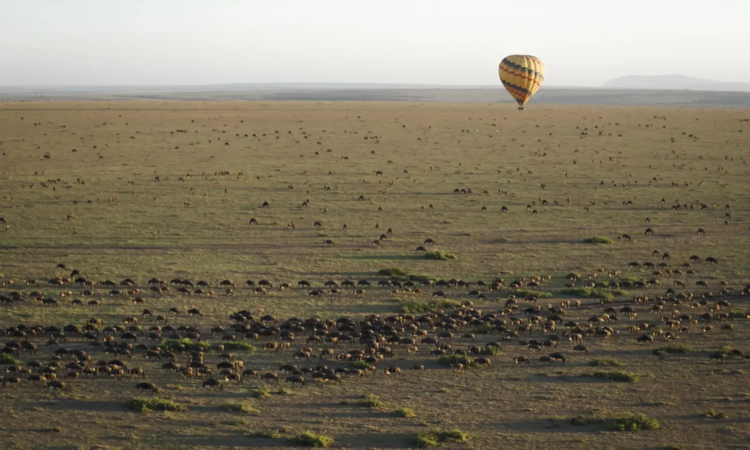 serengeti-hot-air-balloon-safari-great-migration