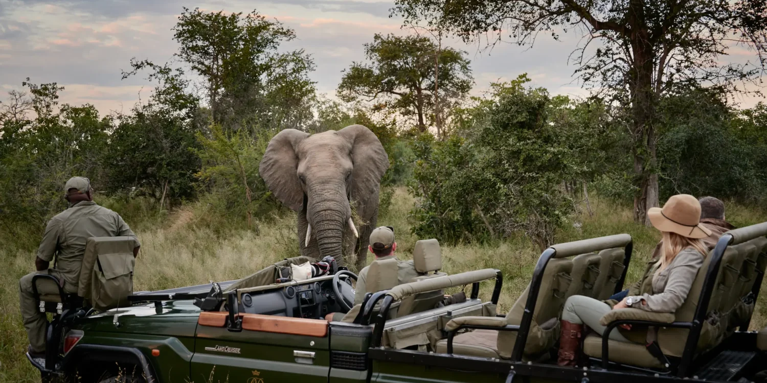 top-destinations-in-Africa-for-a-multigenerational-safari-experience-South-Africa
