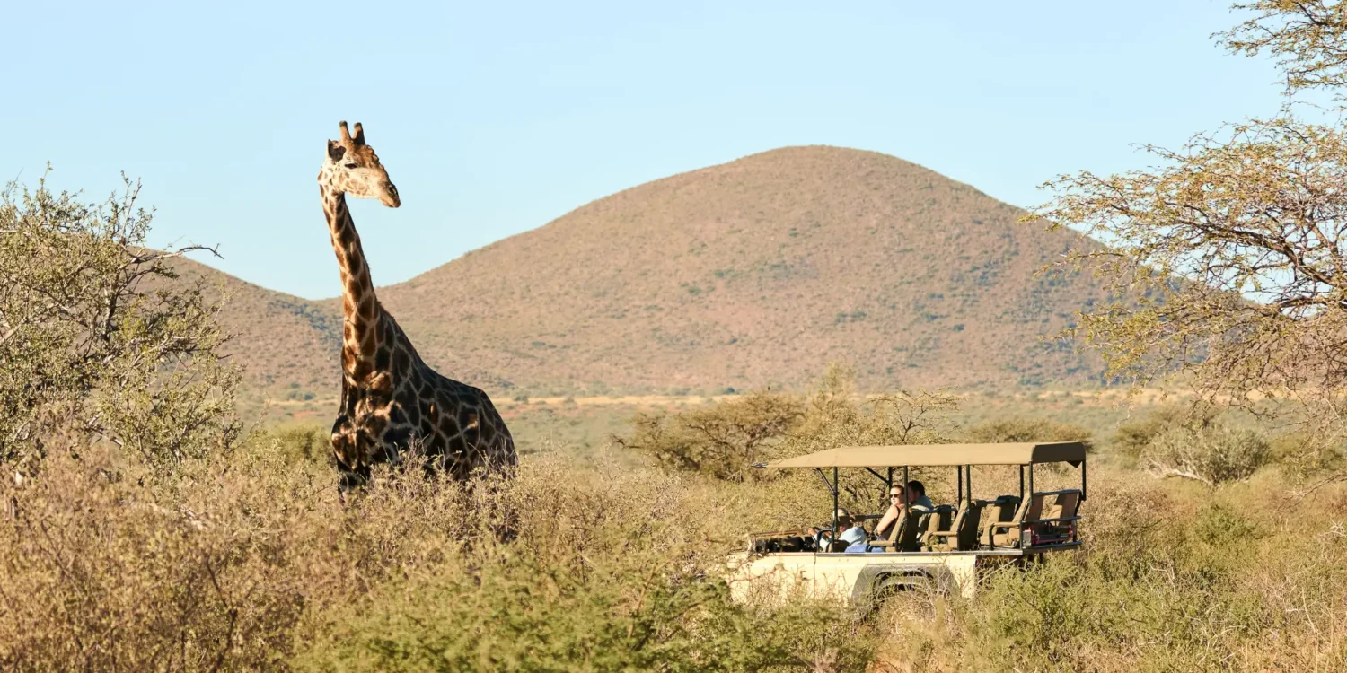 wildlife-conservation-giraffe-safari-sustainable-travel